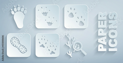 Set Fox paw footprint, Paw, Human footprints shoes, Bird, Frog and Bear icon. Vector