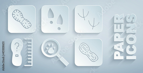 Set Paw search, Dove paw footprint, Square measure size, Human footprints shoes, and icon. Vector