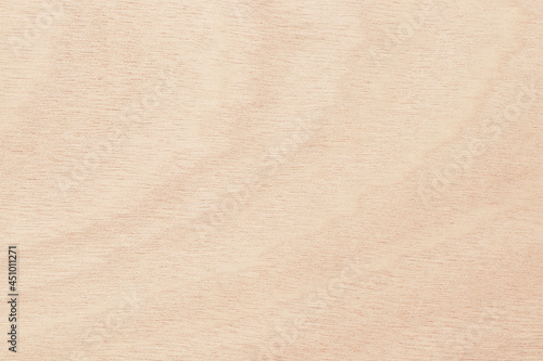 Plywood surface in natural pattern with high resolution. Wooden grained texture background.