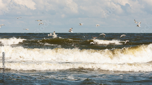 Obraz na płótnie Mewy na bałtyckiej plaży w salonie