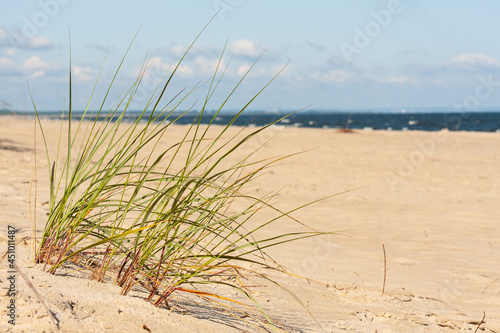 Fototapeta Naklejka Na Ścianę i Meble -  Bałtycka plaża 