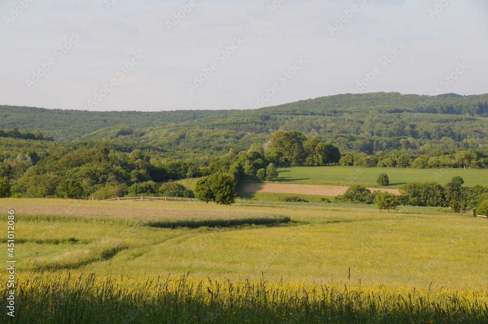 Wiesen und Felder in der Umgebung von Gablitz, Österreich, 17.05.2012