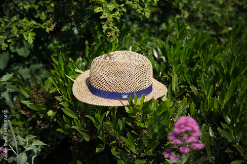 summer hat on the grass