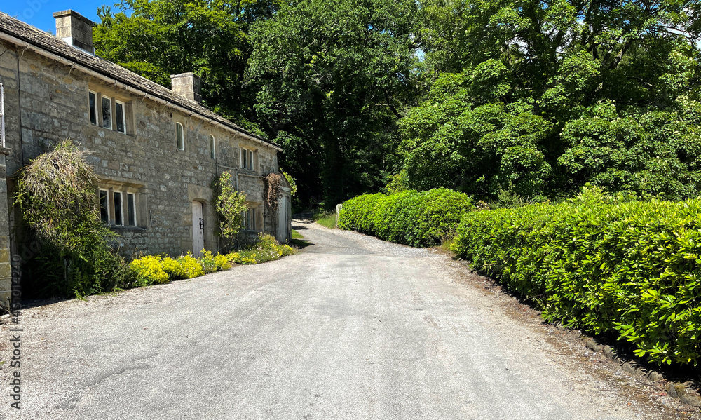 Country road, leading past old stone cottages, with trees and plants in, Wath, Pateley Bridge, UK