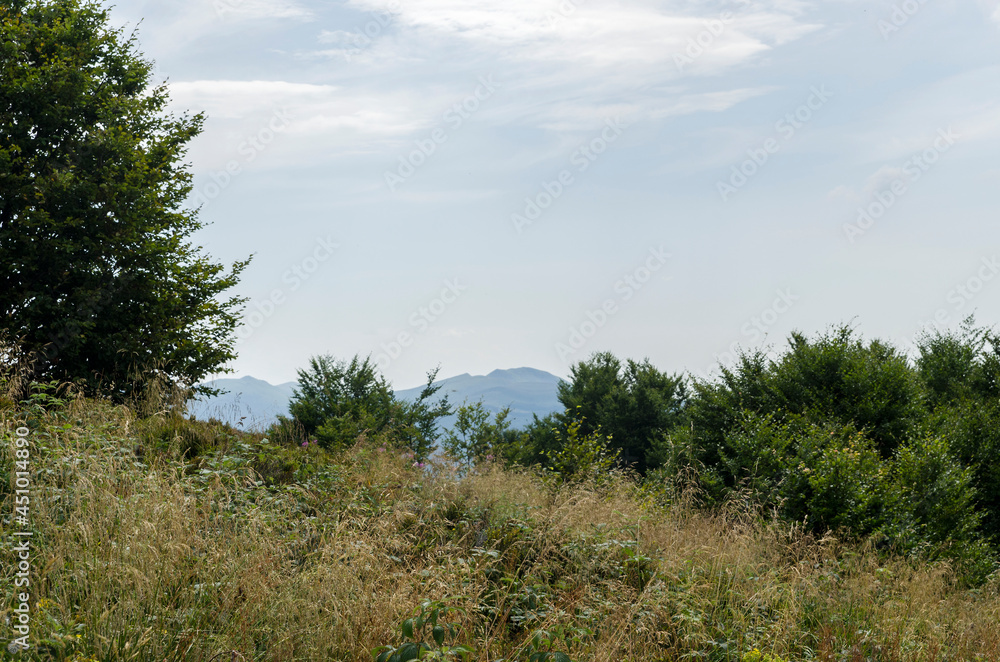 Połonina Wetlińska - Bieszczady 