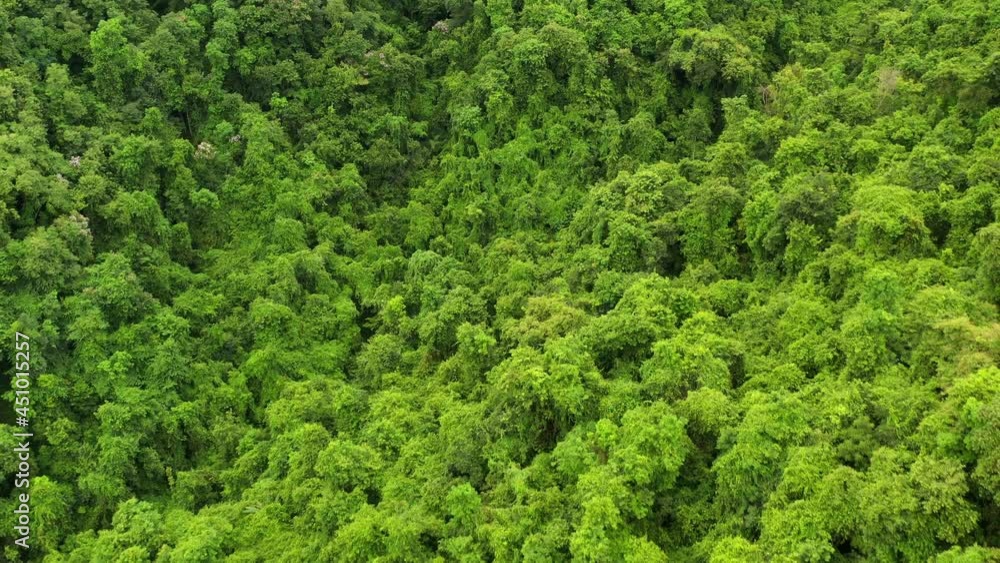 Aerial view flying above lush green tropical rain forest mountain the rainy season on the Doi Phuka Mountain reserve national park the Nan province northern Thailand. Aerial view flying above lush green tropical rain forest mountain the rainy season on the Doi Phuka Mountain reserve national park the Nan province northern Thailand.