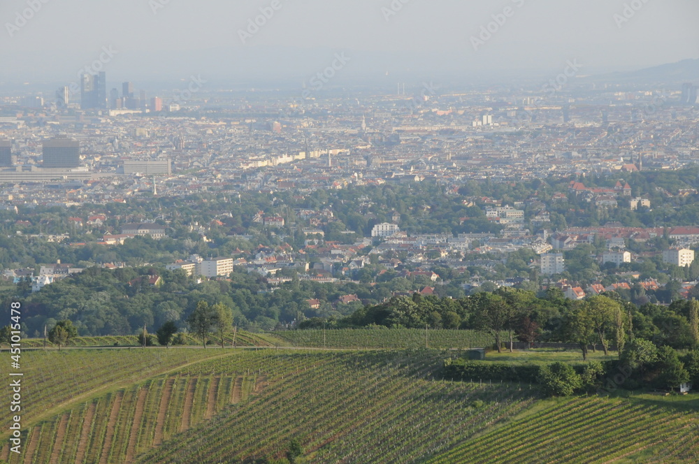Blick auf Wien vom Leopoldsberg, Österreich, 25.05.2012