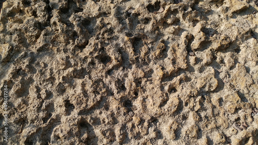 
Sandstone. A rock. Beautiful texture. Background.