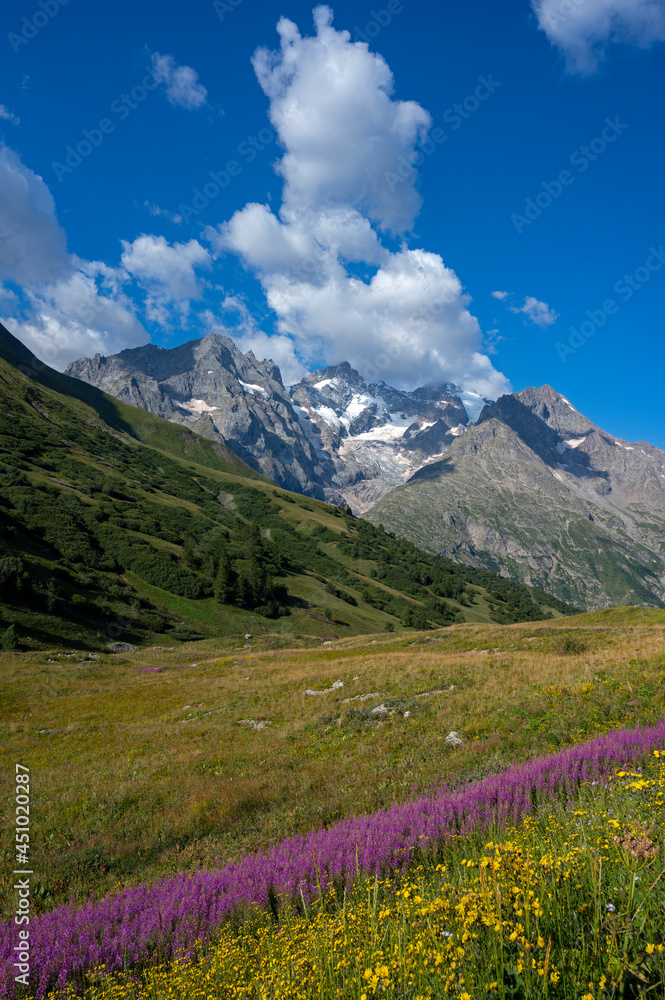 Paysage de montagne dans les Alpes françaises avec le massif de la Meije dans le Parc National des Ecrins dans l'Oisans en France en été