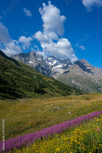 Paysage de montagne dans les Alpes françaises avec le massif de la Meije dans le Parc National des Ecrins dans l'Oisans en France en été