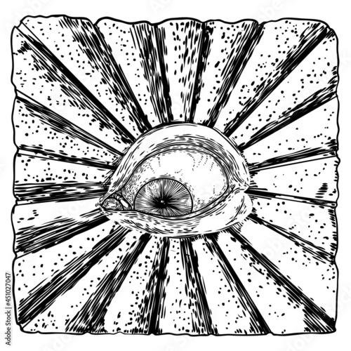 Mystic or all seeing eye drawing ink hand style. Conspiracy Illuminati theory.  Eye of Providence on the decorative background. Alchemy, religion, spirituality and occultism tattoo ink art. Vector.