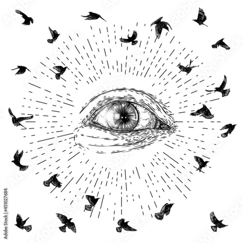 All seeing eye symbol element variation. Alchemy, religion, spirituality and occultism tattoo ink art. Vision of providence and conspiracy theory. Hand drawing in flash tattoo style artwork. Vector.