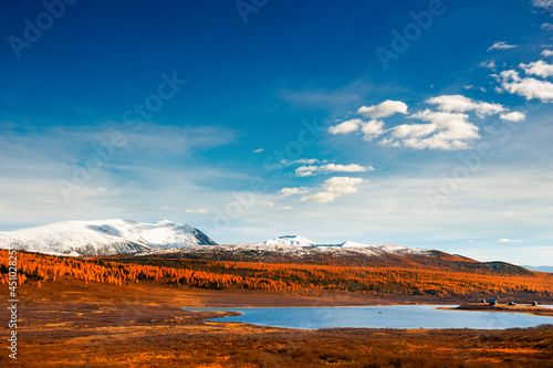 Ulagan highlands at sunset in Altai, Siberia, Russia. Yellow trees and snow-covered mountain peaks. Beautiful autumn landscape