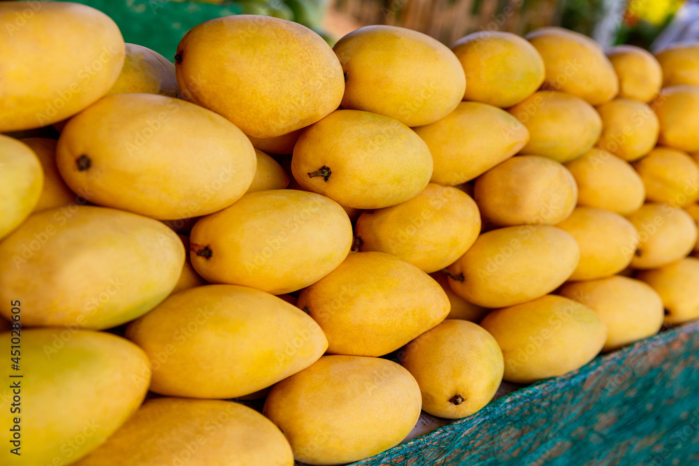 Mango festival. Stand with fresh yellow mango fruits in the street market. Selective focus.
