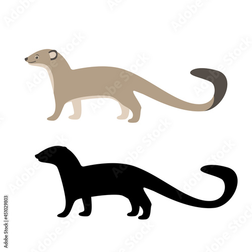 mongoose  flat style, black silhouette, vector illustration photo