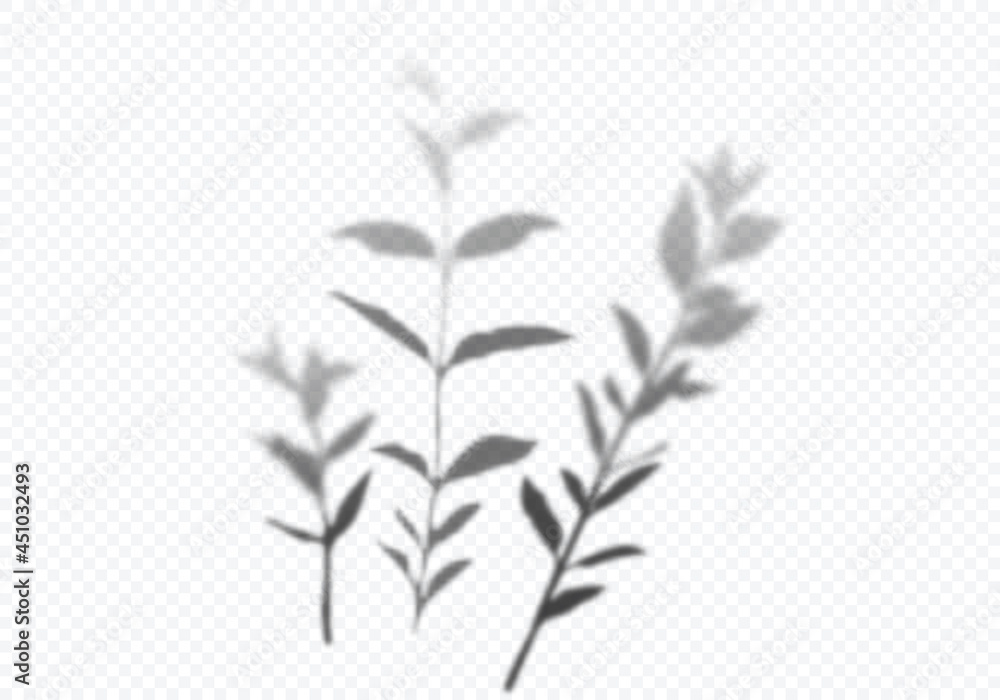 Naklejka premium Transparent Vector Shadow of Branches and Leaves. Decorative Design Elements