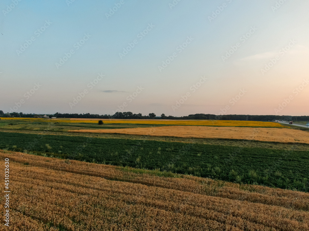 Aerial view from the drone of a wheat field. Agricultural industry.