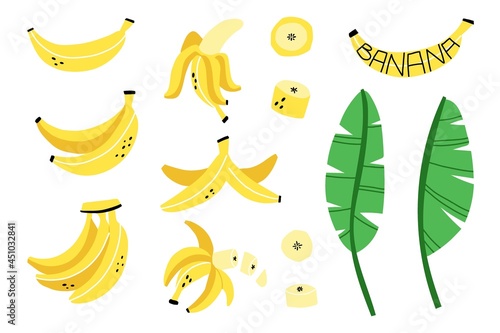 Banana set. Exotic tropical fresh fruit, whole and sliced with green leaves, bananas peel, vector cartoon minimalistic style isolated illustration