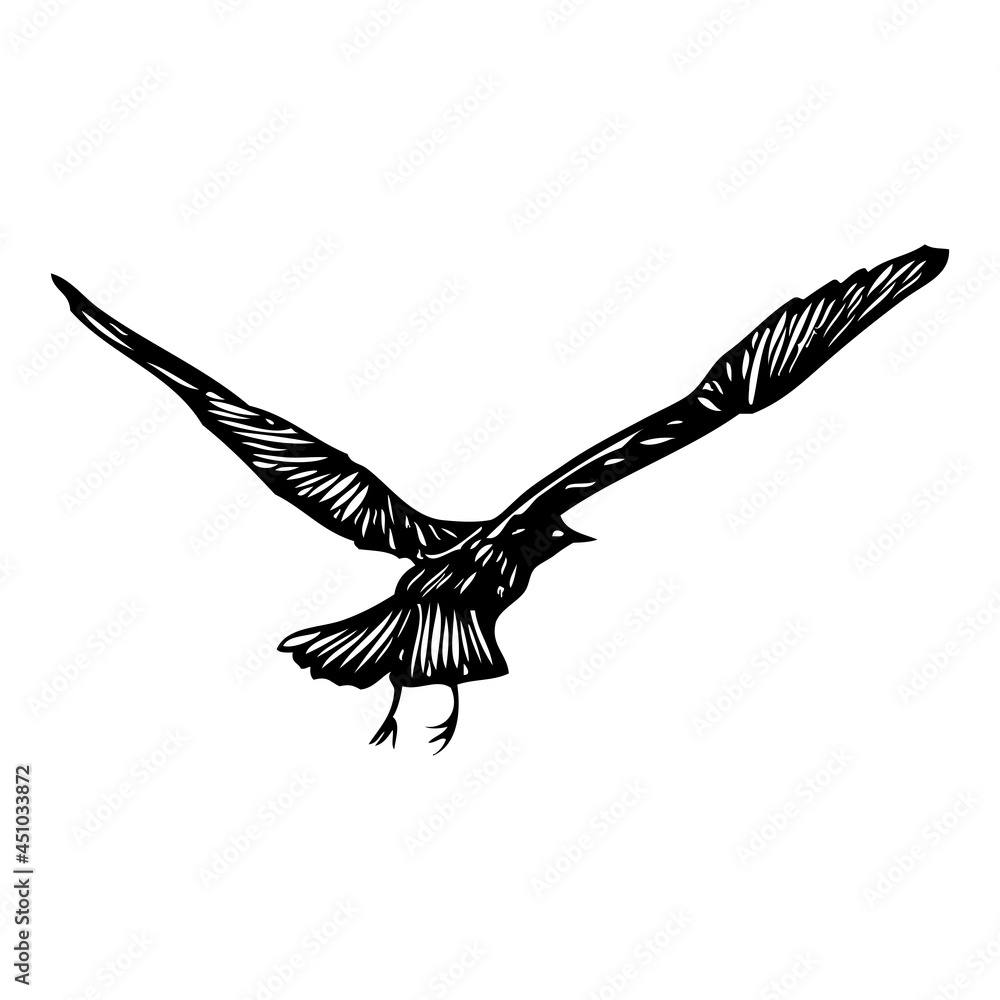 Naklejka premium Black seagull, hand drawn strokes marine sea gull bird. Drawing sketch. Inspirational body flash tattoo ink for sailor. Nautical vector.