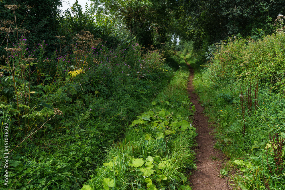 Country lane Country lane