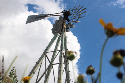 Windmill on a cloudy day with flowers