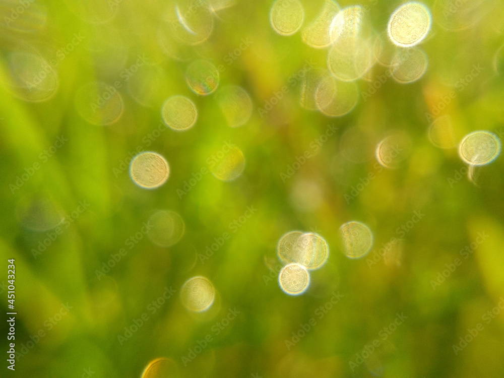 Obraz premium Blurred bokeh background