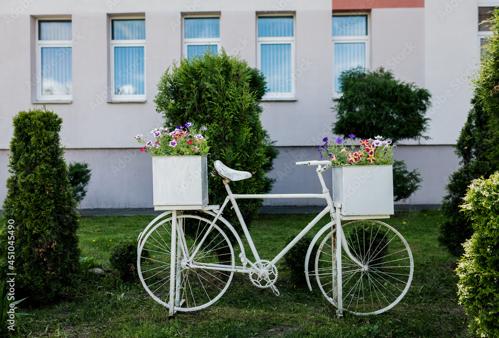 bicycle with floral basket
