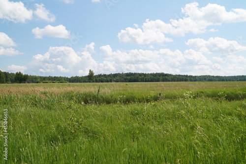 field and blue sky