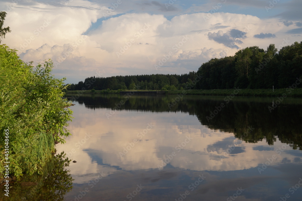 lake in the forest lake in the forest