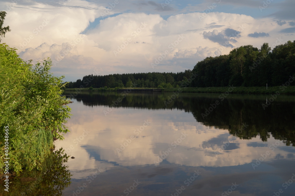 lake in the forest