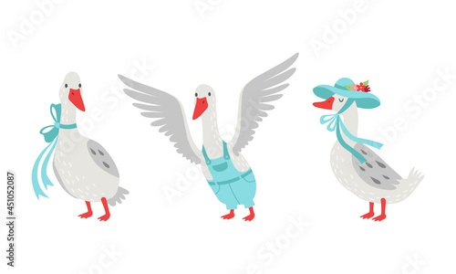 Grey Goose Character Wearing Ribbon and Hat with Spread Wings Vector Set