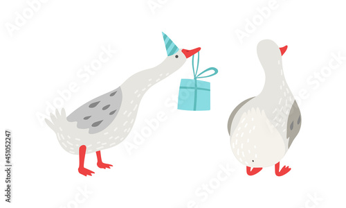 Grey Goose Character in Birthday Hat Carrying Gift Box Vector Set