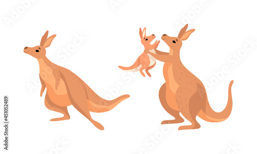 Brown Kangaroo Marsupial Animal with Powerful Hind Legs and Joey in Pouch Vector Set