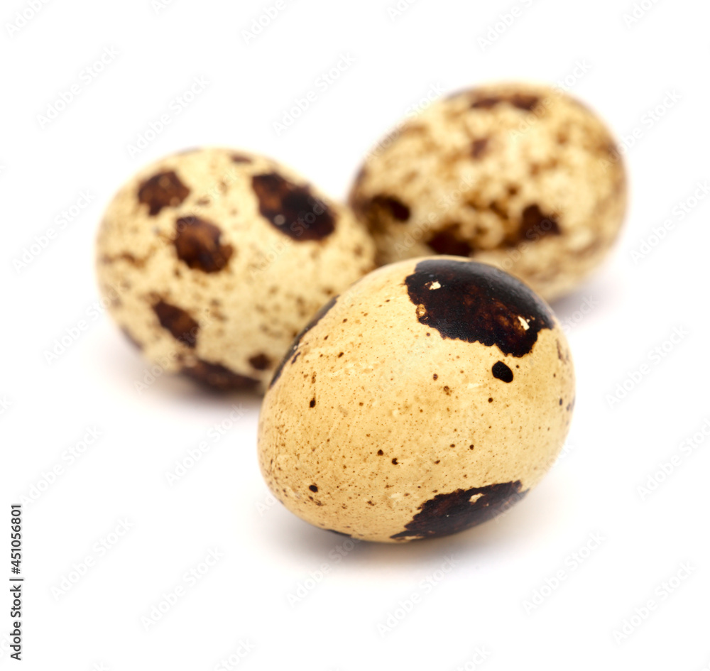 small boiled speckled quail eggs isolated on white small boiled speckled quail eggs isolated on white