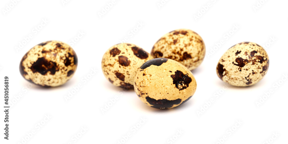 small boiled speckled quail eggs isolated on white small boiled speckled quail eggs isolated on white