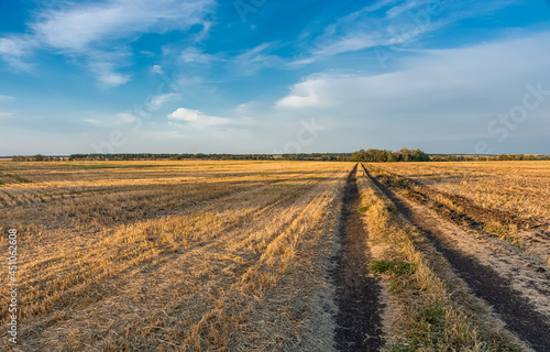 Mown wheat field at sunset, rural peaceful landscape. © ArturSniezhyn