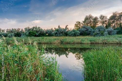 Picturesque lake among green reeds, evening landscape