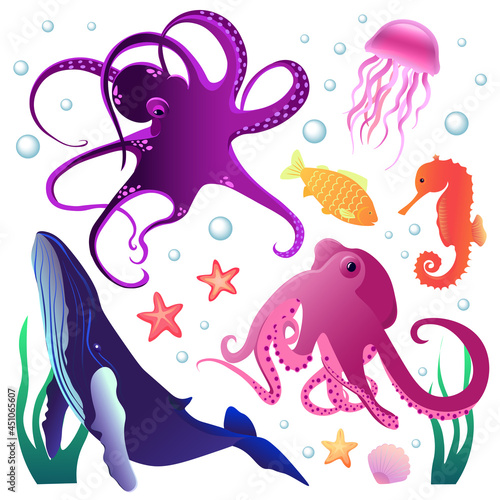 Set of vector illustrations of ocean inhabitants