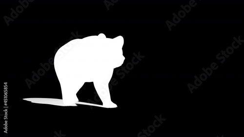 Grizzlie Bear walking loop on blue background with 3d rendering include alpha path.. photo