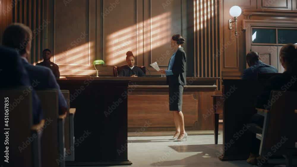 Court of Justice and Law Trial: Successful Female Public Defender ...