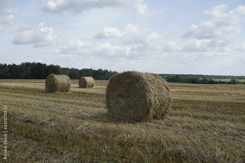 Rural landscape. Harvested field and straw bales. Blue sky. Horizon. August. Summer is over.