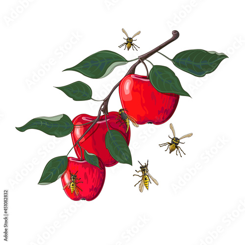 A branch of red apples with wasps flying around them, drawn in a cartoon style. Stock vector illustration isolated on white background.