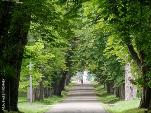 Fototapeta Naklejka Na Ścianę i Meble -  Spaziergang durch den Putbuser Schlosspark