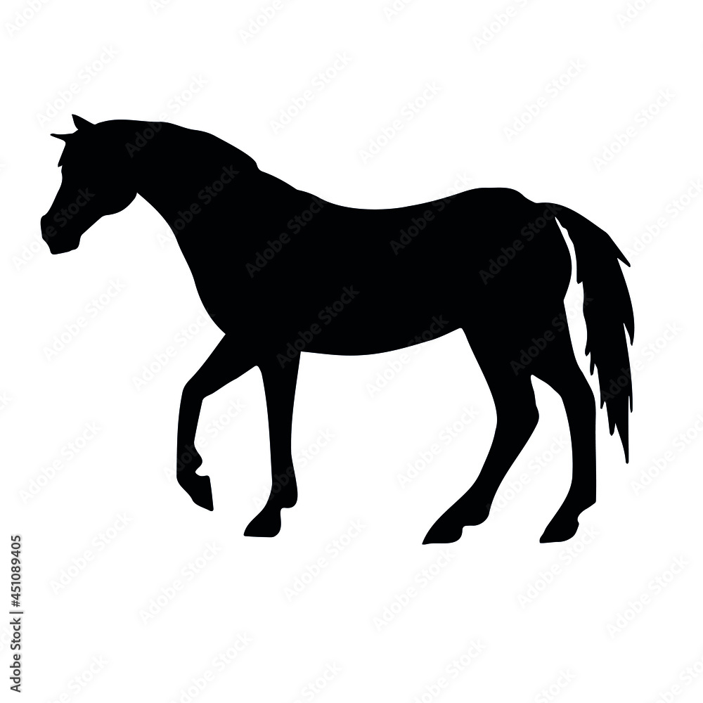 Vector hand drawn horse silhouette isolated on white background