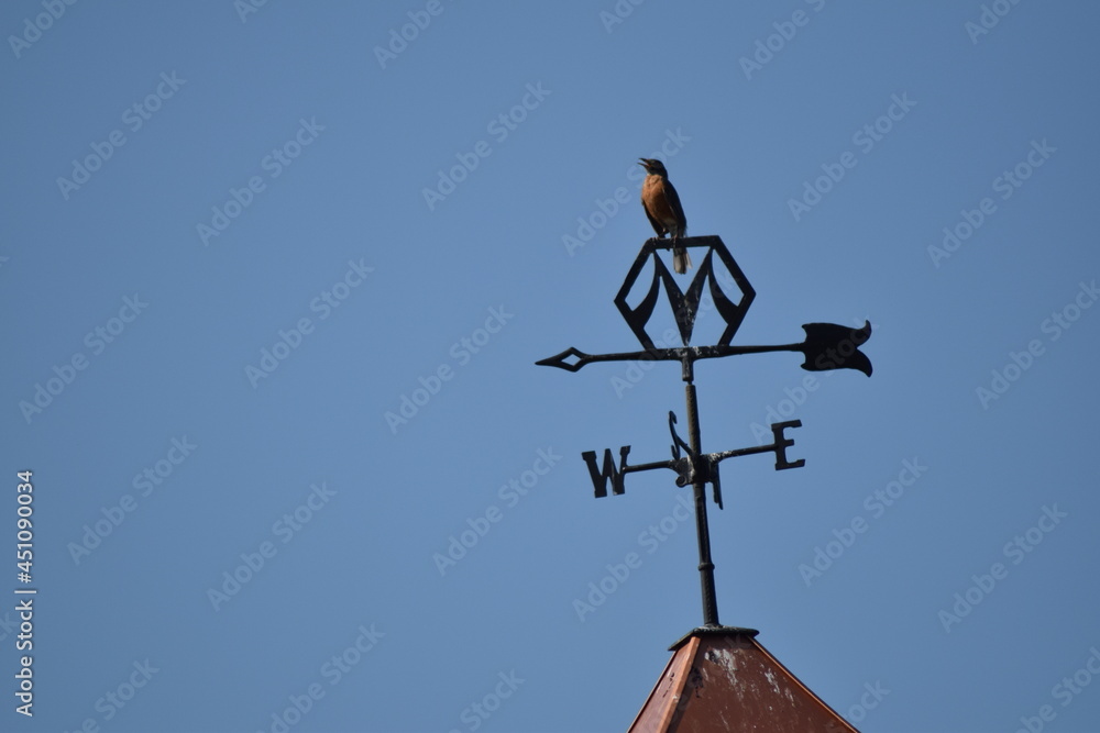 barn weather vane country farm bird singing barn weather vane country farm bird singing