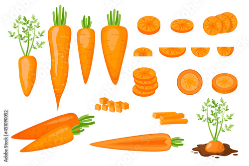 Set of Icons Raw Carrots Half, Sliced, Diced and Cut Into Strips and Slices. Fresh Organic and Healthy Vegetables