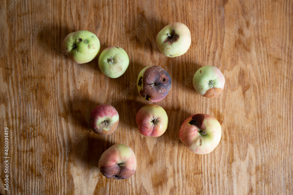 Natural organic imperfect apples on wooden table Natural organic imperfect apples on wooden table