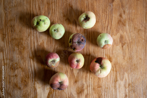 Natural organic imperfect apples on wooden table