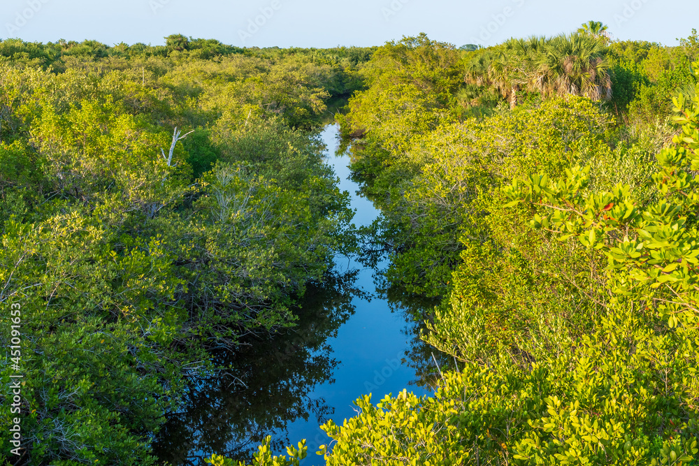 A narrow canal among swamps in Pelican Island National Wildlife Refuge, Florida. A beautiful location for viewing local bird habitats, hiking trails and excursions