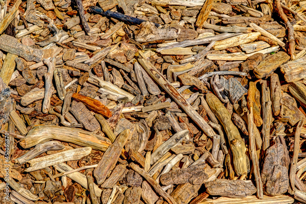 Close up of beach wood on the shores of Waterton Lake in southern Alberta Close up of beach wood on the shores of Waterton Lake in southern Alberta